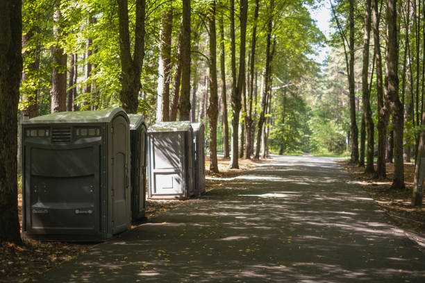 Portable Toilet Options We Offer in San Ysidro, NM